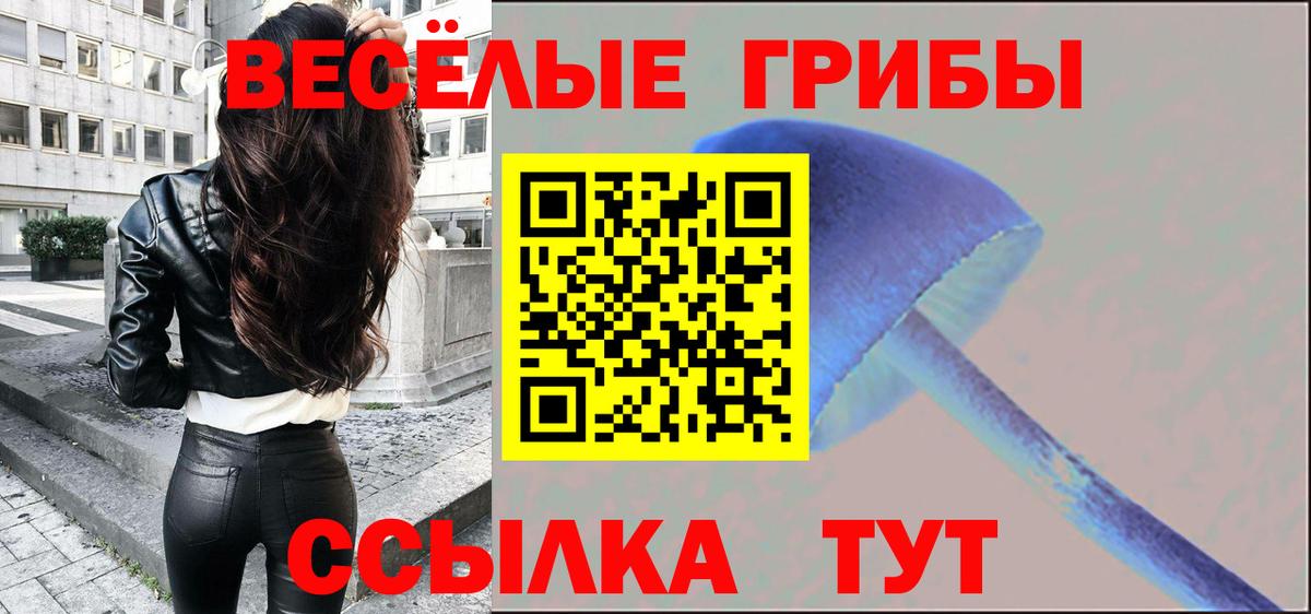 Псилоцибиновые грибы ЛСД  Вход с VPN  Псилоцибиновые грибы мухоморы  Анжеро-Судженск 